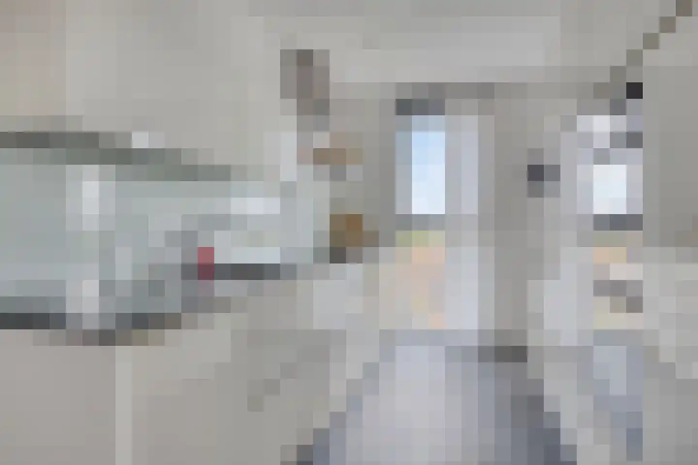 Koningsschild 89 Goirle thumbnail 4