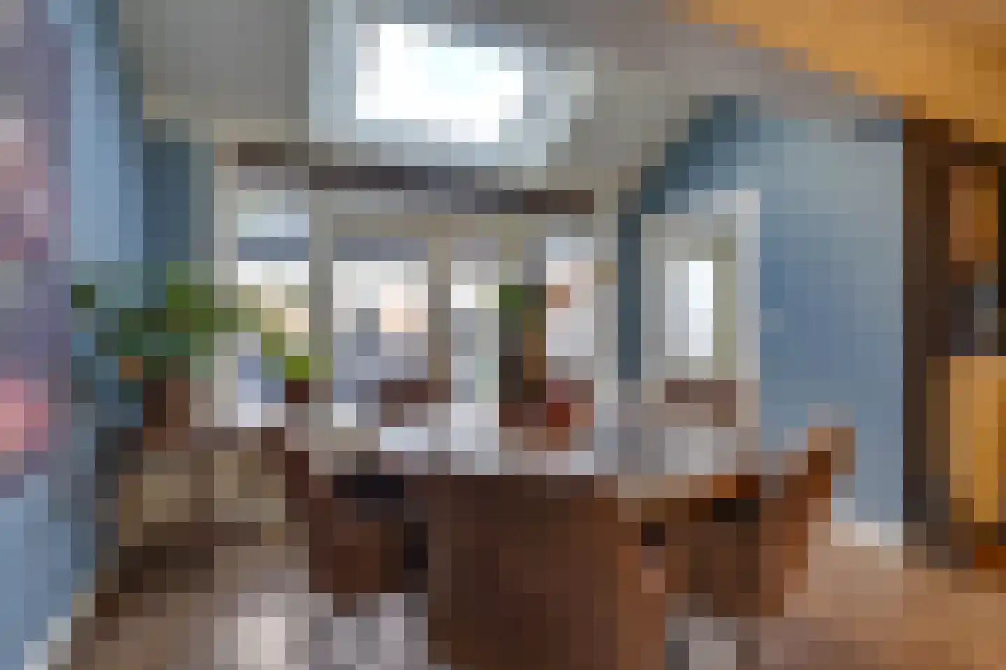 Koningsspil 12 Avenhorn thumbnail 13