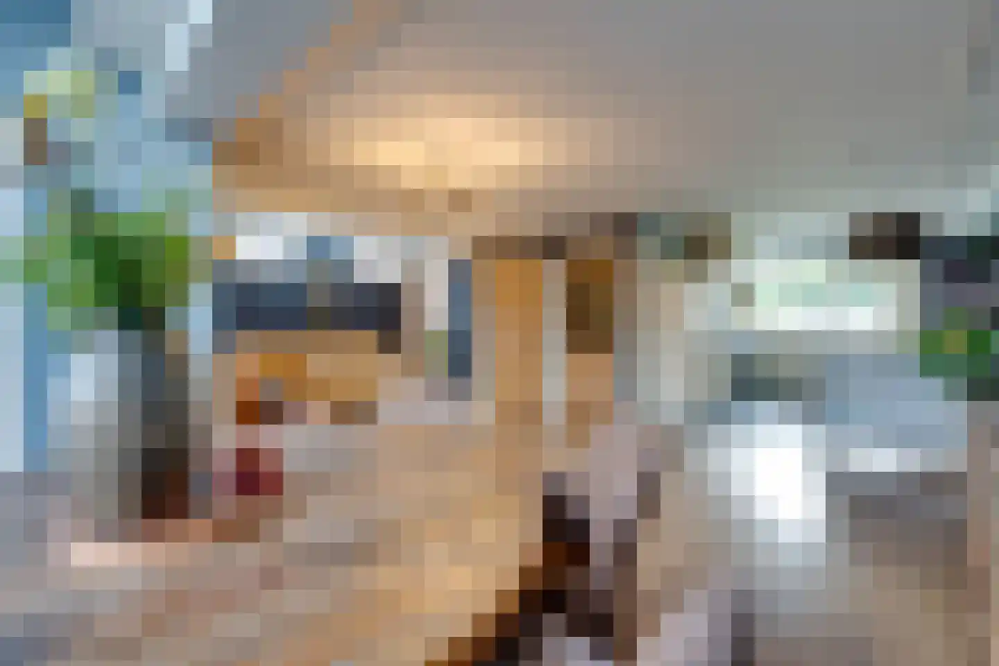 Koningsspil 12 Avenhorn thumbnail 14