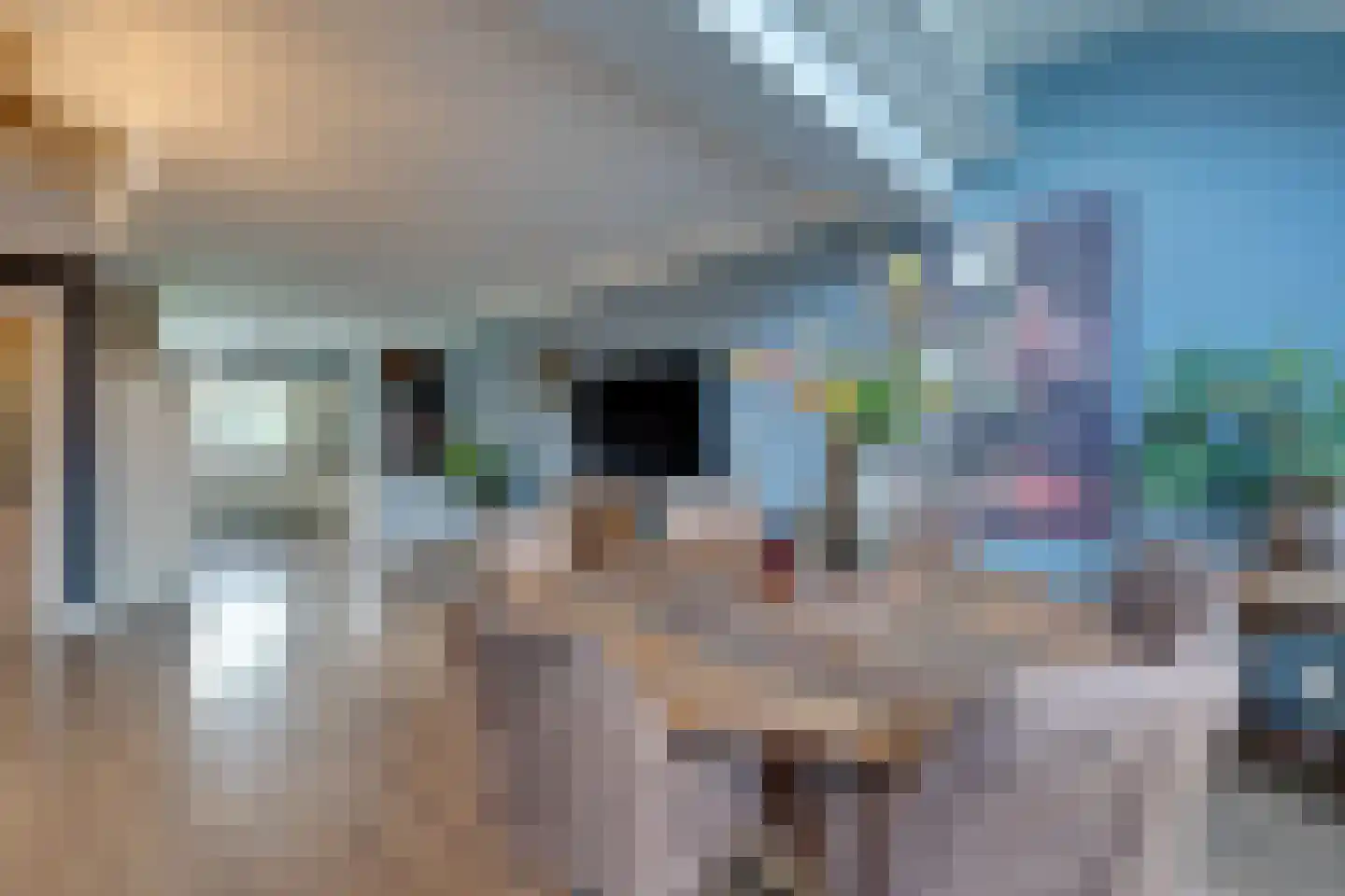 Koningsspil 12 Avenhorn thumbnail 15