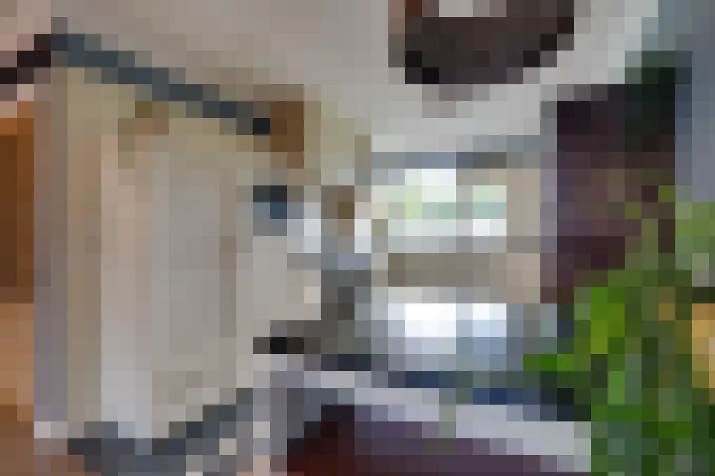 Koningsspil 12 Avenhorn thumbnail 17