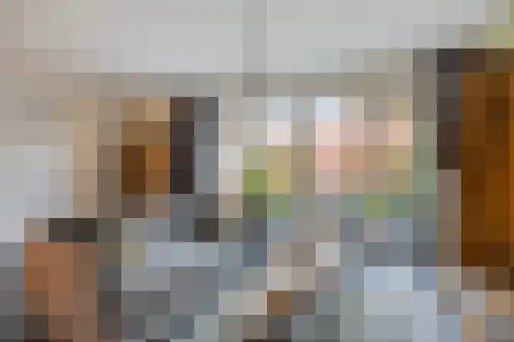 Koningsspil 13 Rijkevoort thumbnail 15