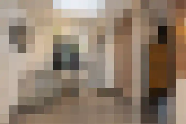 Koningsspil 13 Rijkevoort thumbnail 21