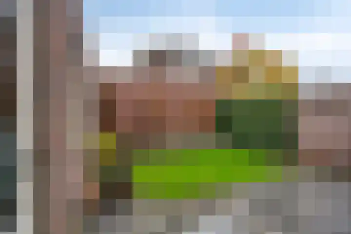 Koningsspil 13 Rijkevoort thumbnail 34