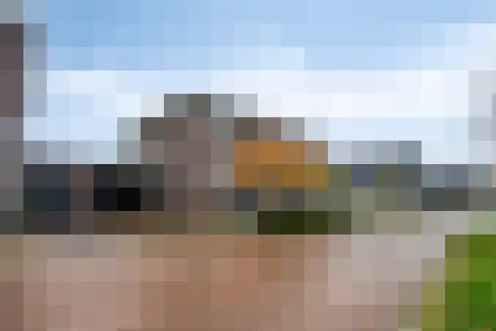 Koningsspil 13 Rijkevoort thumbnail 5