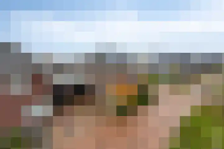 Koningsspil 13 Rijkevoort thumbnail 6
