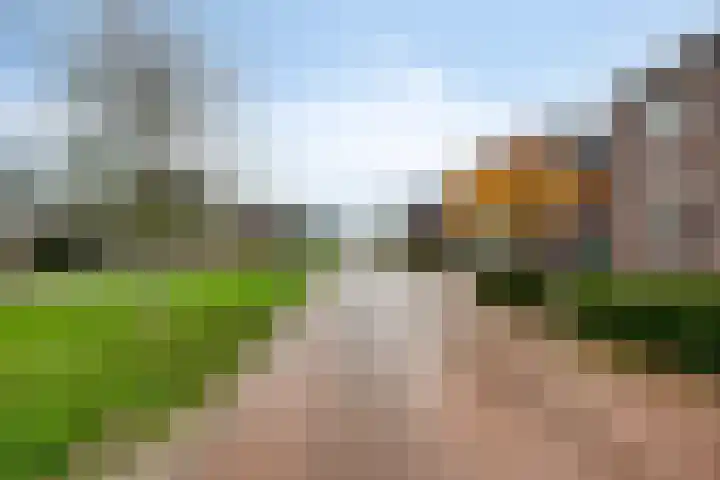 Koningsspil 13 Rijkevoort thumbnail 7