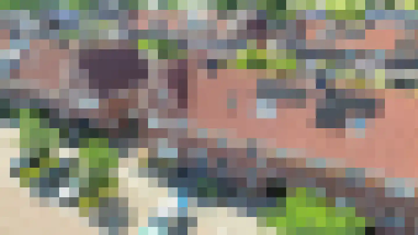 Koningsspil 15 Wieringerwaard thumbnail 36