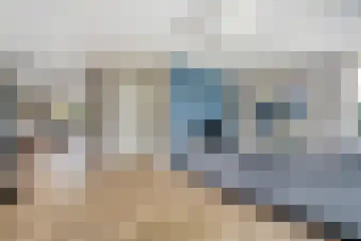 Koningsspil 18 Nunspeet thumbnail 13