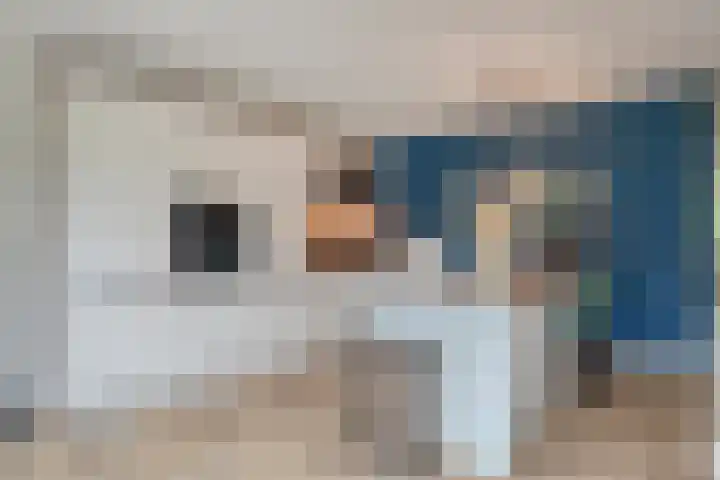 Koningsspil 18 Nunspeet thumbnail 28