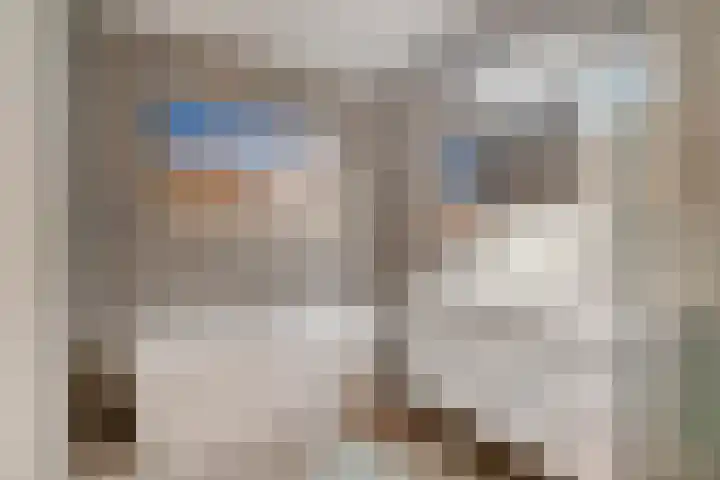 Koningsspil 18 Nunspeet thumbnail 34