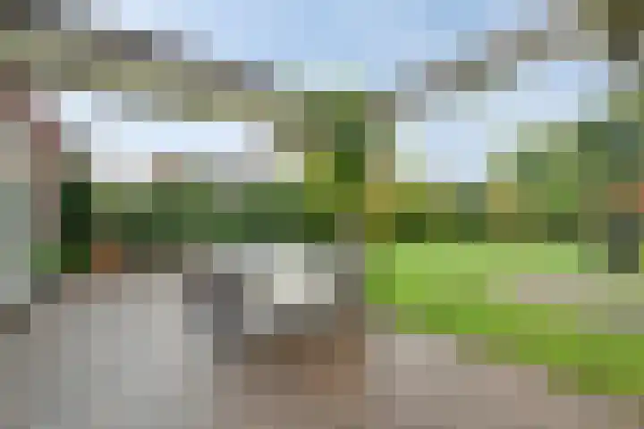 Koningsspil 18 Nunspeet thumbnail 4