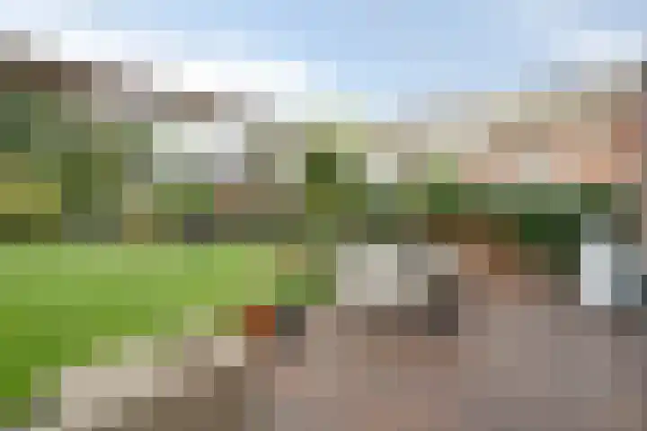 Koningsspil 18 Nunspeet thumbnail 43