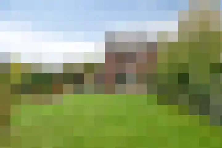 Koningsspil 18 Nunspeet thumbnail 46