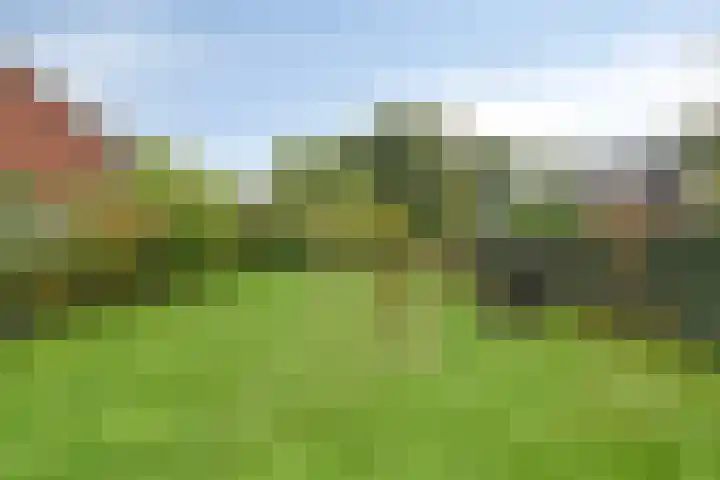 Koningsspil 18 Nunspeet thumbnail 48