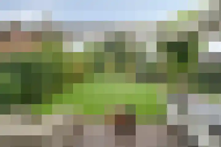 Koningsspil 18 Nunspeet thumbnail 49