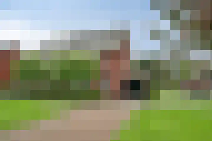 Koningsspil 18 Nunspeet thumbnail 5