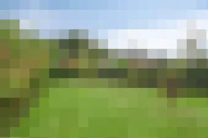 Koningsspil 18 Nunspeet thumbnail 50