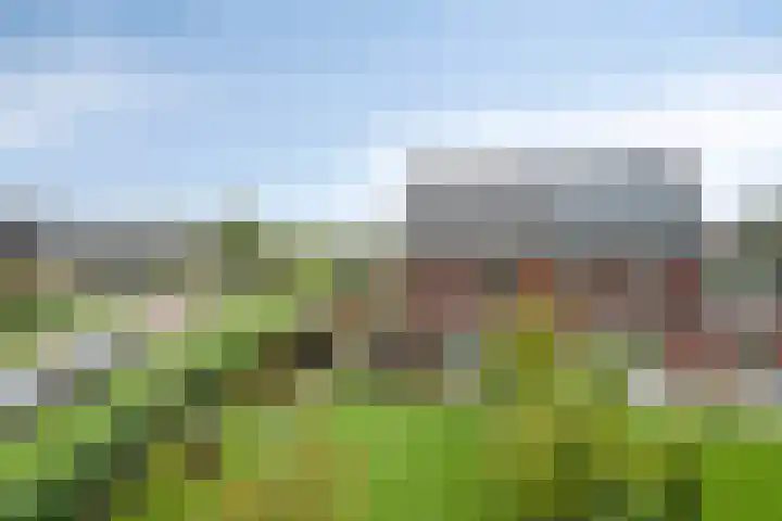 Koningsspil 18 Nunspeet thumbnail 52