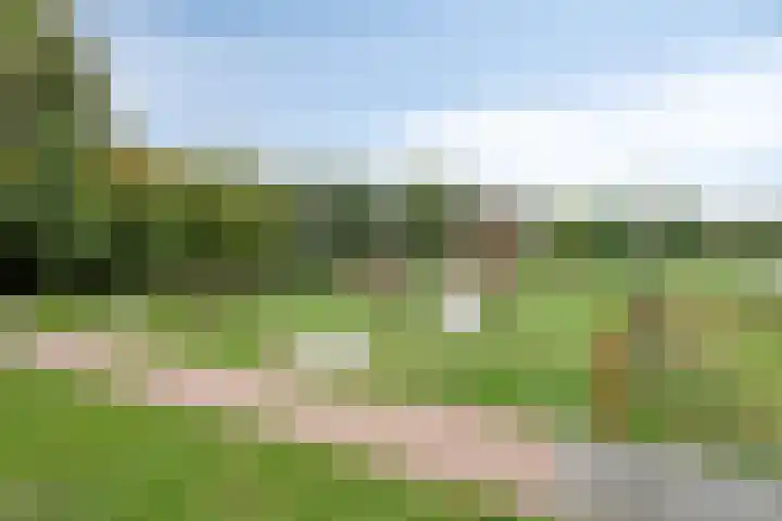 Koningsspil 18 Nunspeet thumbnail 53