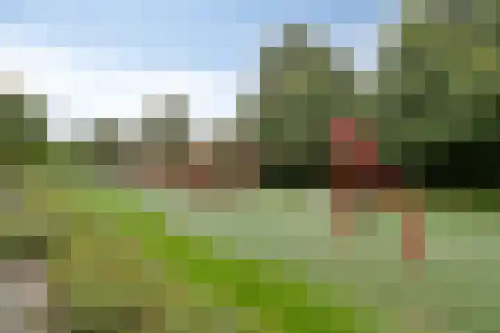 Koningsspil 18 Nunspeet thumbnail 54