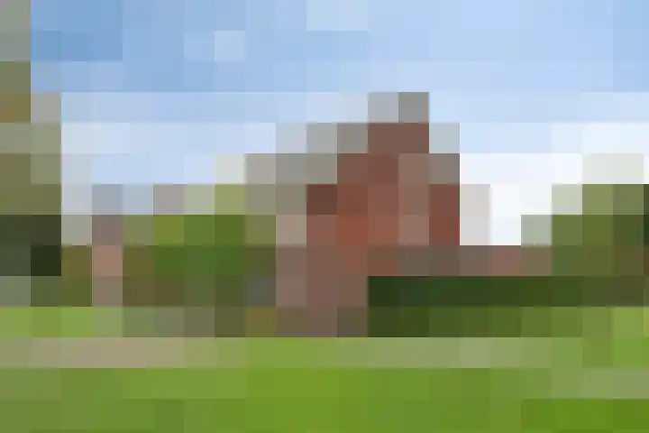 Koningsspil 18 Nunspeet thumbnail 6