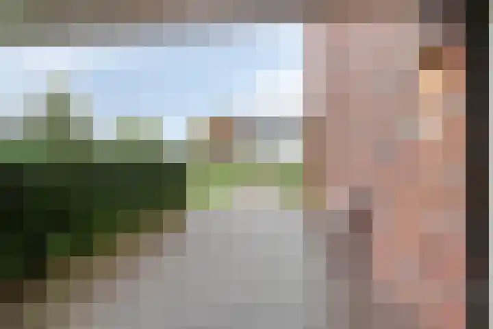 Koningsspil 18 Nunspeet thumbnail 9