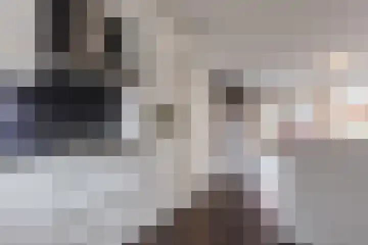Koningsspil 19 Sint Pancras thumbnail 7