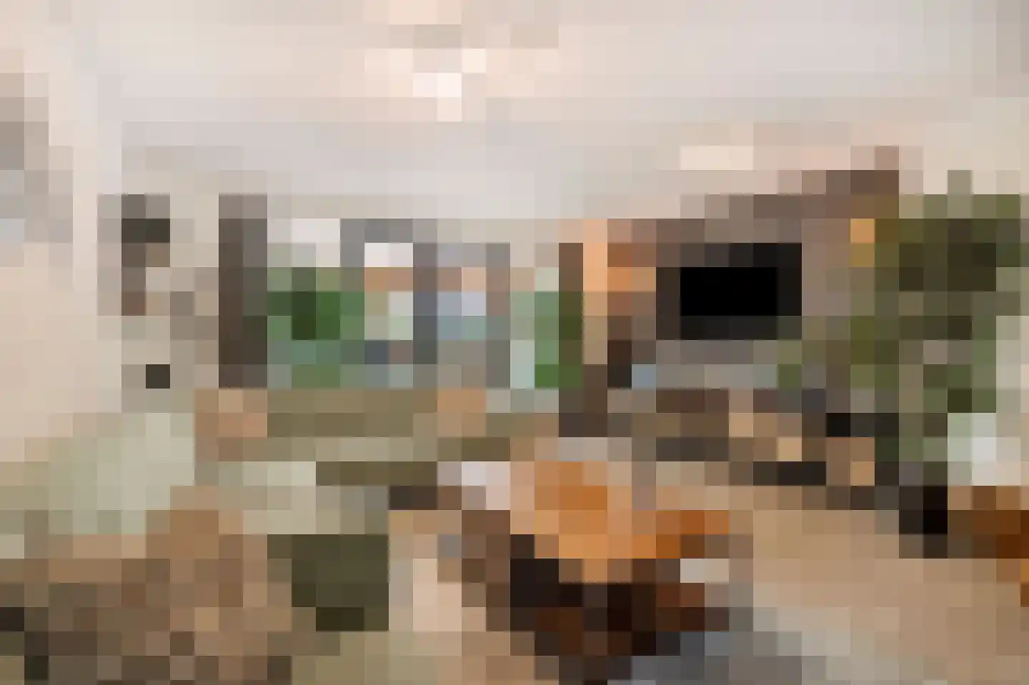 Koningsspil 2 Wieringerwaard thumbnail 12