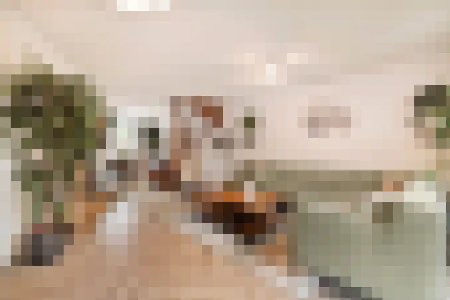 Koningsspil 2 Wieringerwaard thumbnail 13