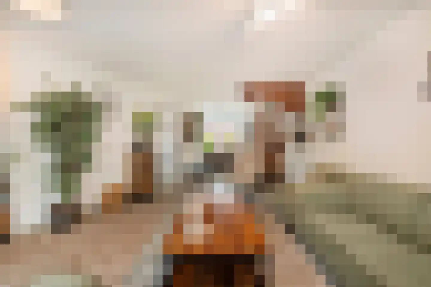 Koningsspil 2 Wieringerwaard thumbnail 14