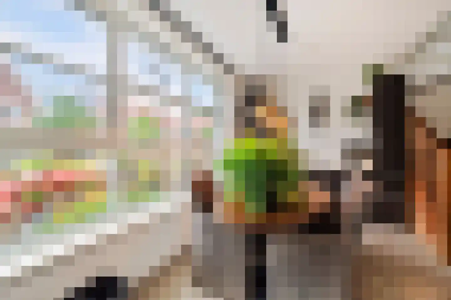 Koningsspil 2 Wieringerwaard thumbnail 20