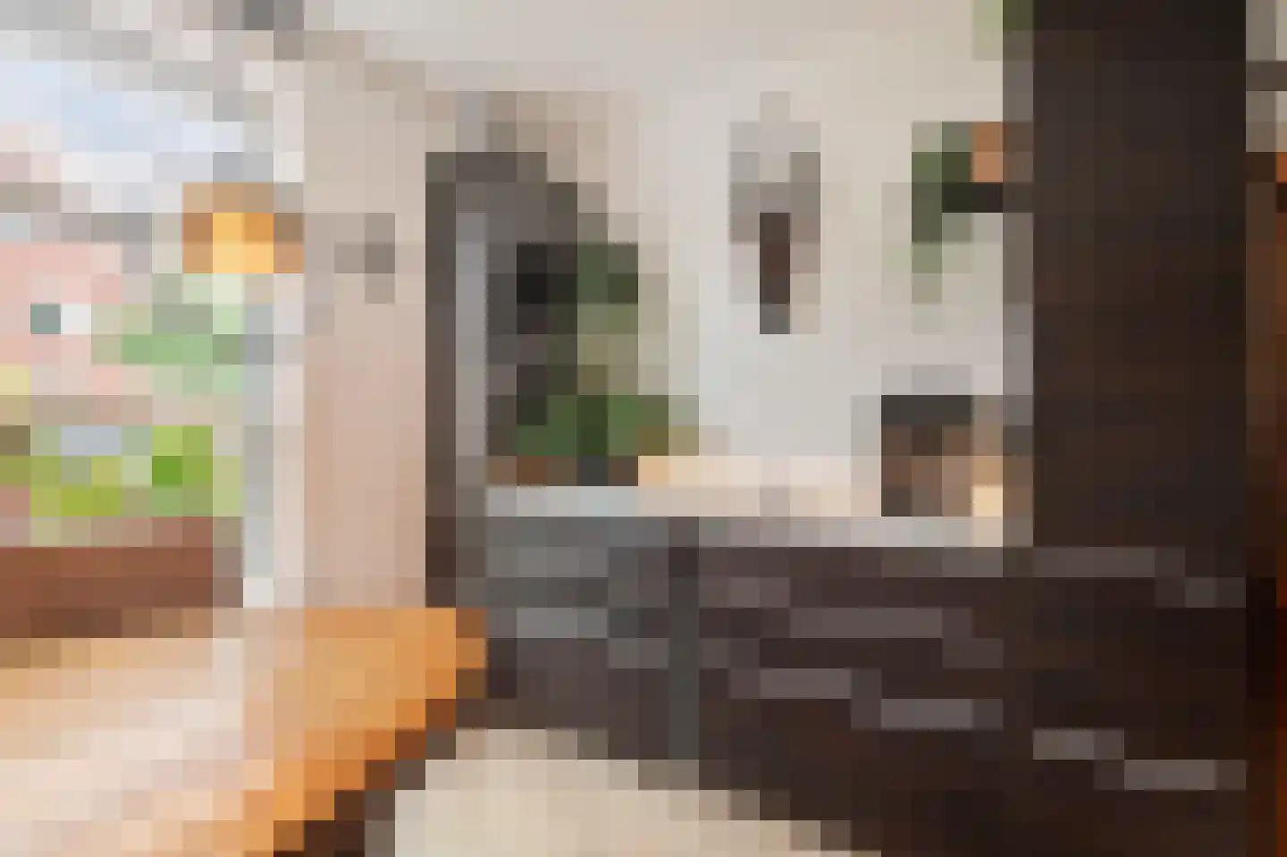 Koningsspil 2 Wieringerwaard thumbnail 21