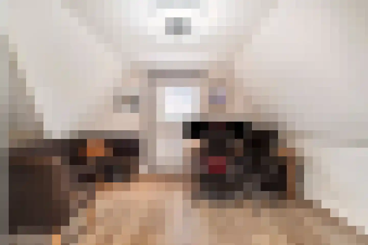 Koningsspil 2 Wieringerwaard thumbnail 34