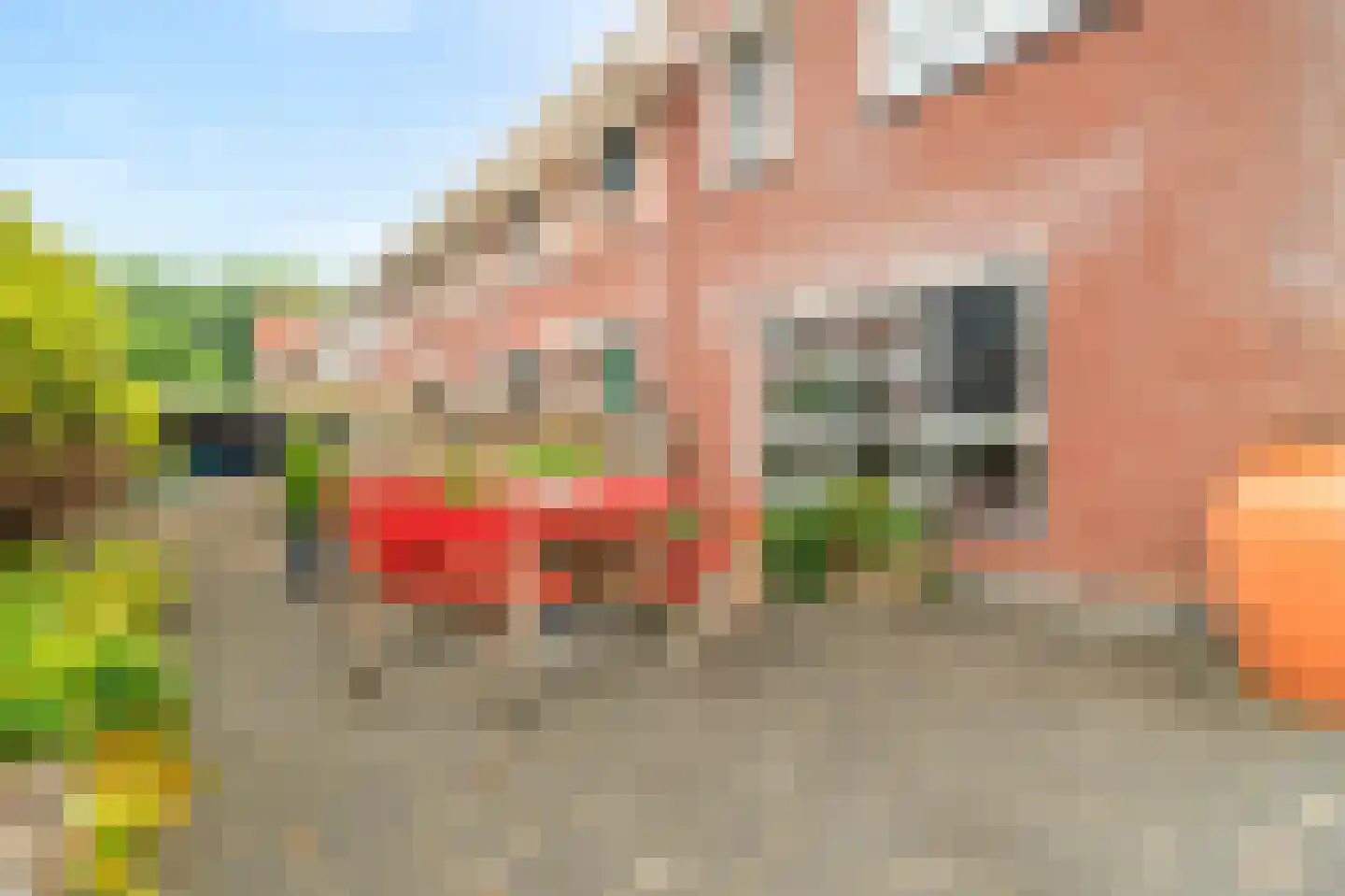 Koningsspil 2 Wieringerwaard thumbnail 4