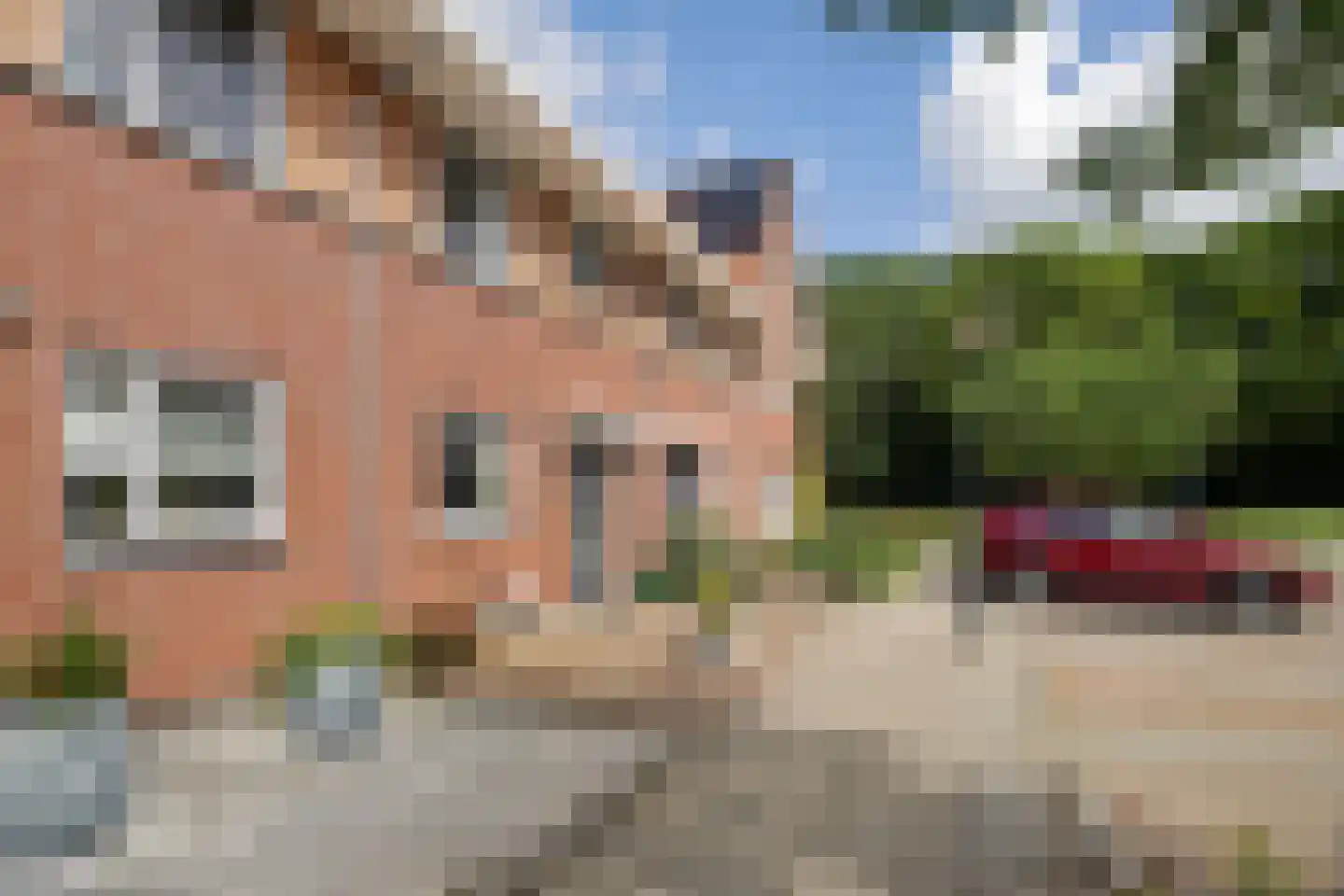 Koningsspil 21 Wieringerwaard thumbnail 11