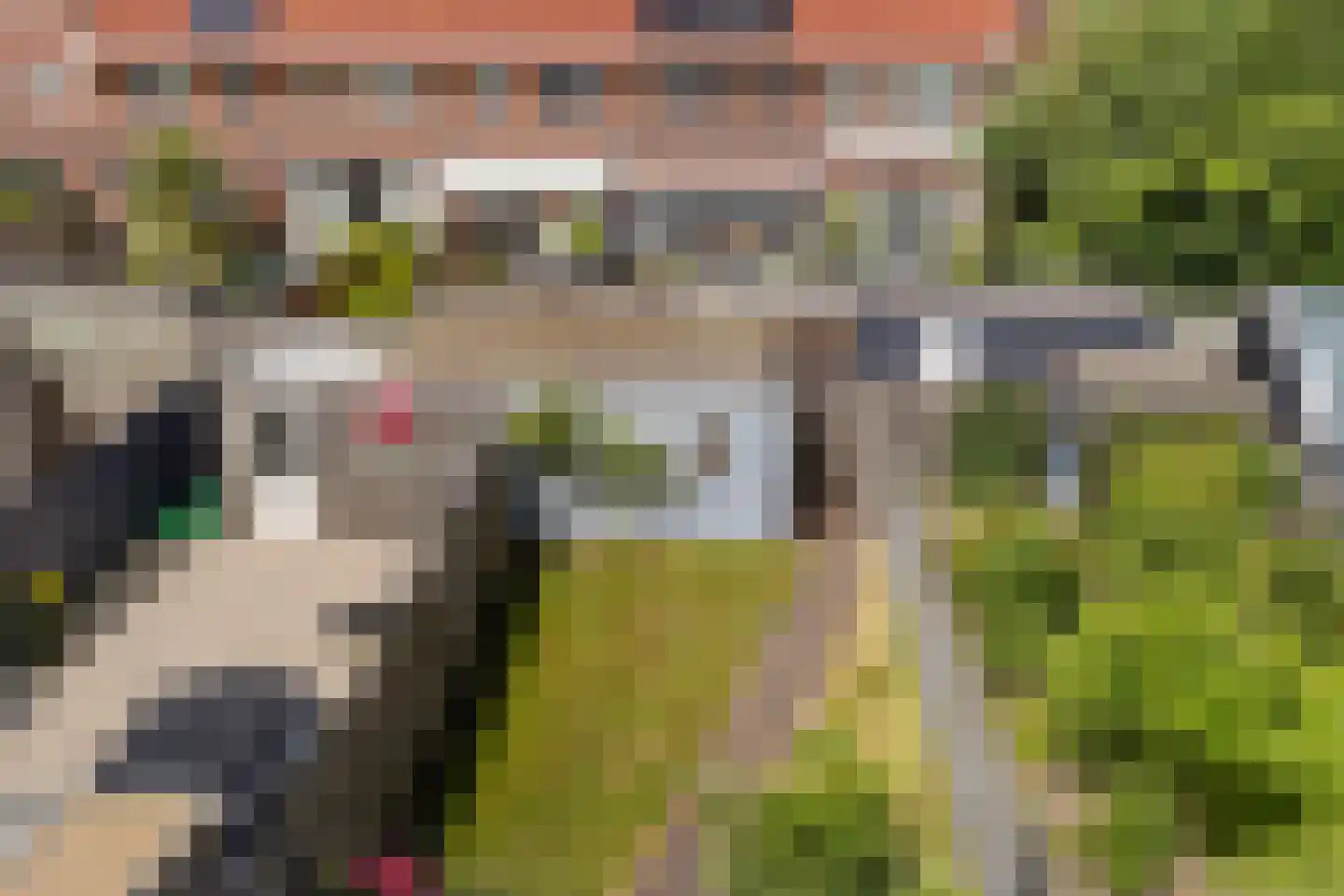 Koningsspil 21 Wieringerwaard thumbnail 36
