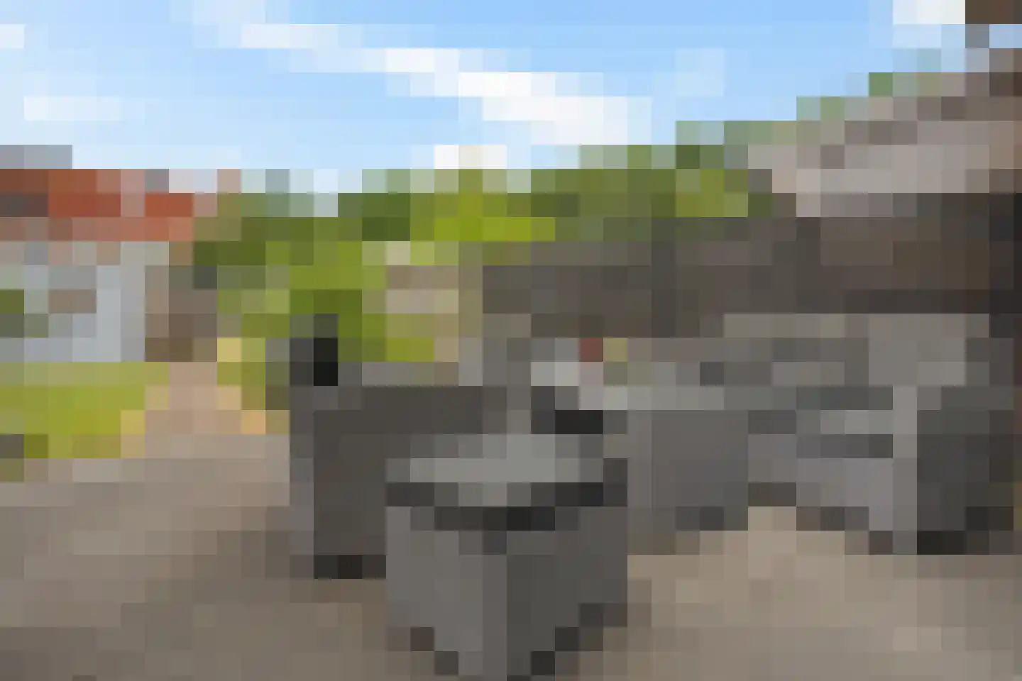 Koningsspil 21 Wieringerwaard thumbnail 7