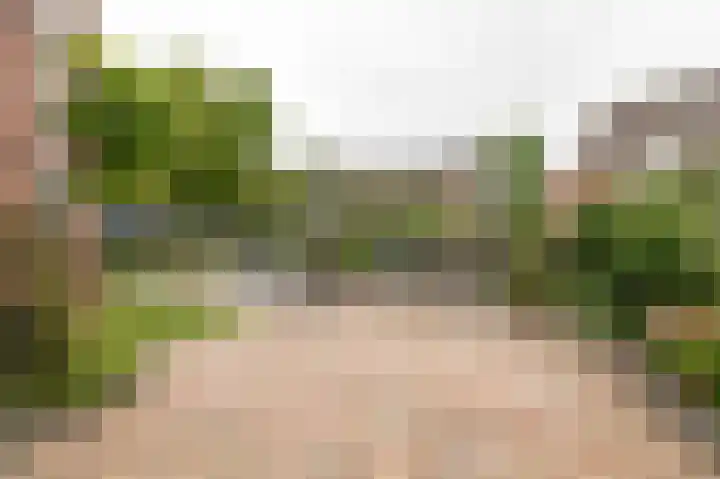 Koningsspil 23 Geldermalsen thumbnail 28