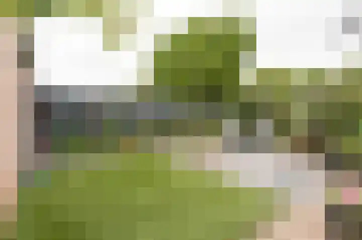 Koningsspil 23 Geldermalsen thumbnail 29