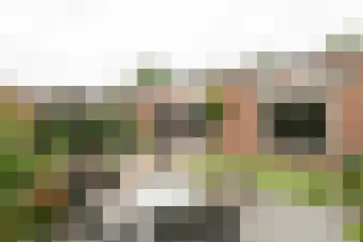 Koningsspil 23 Geldermalsen thumbnail 30