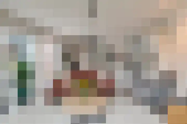 Koningsspil 23 Geldermalsen thumbnail 7