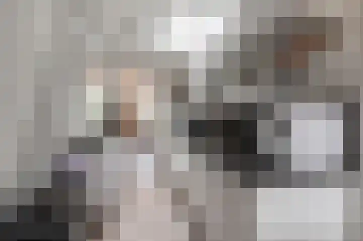 Koningsspil 23 Geldermalsen thumbnail 9