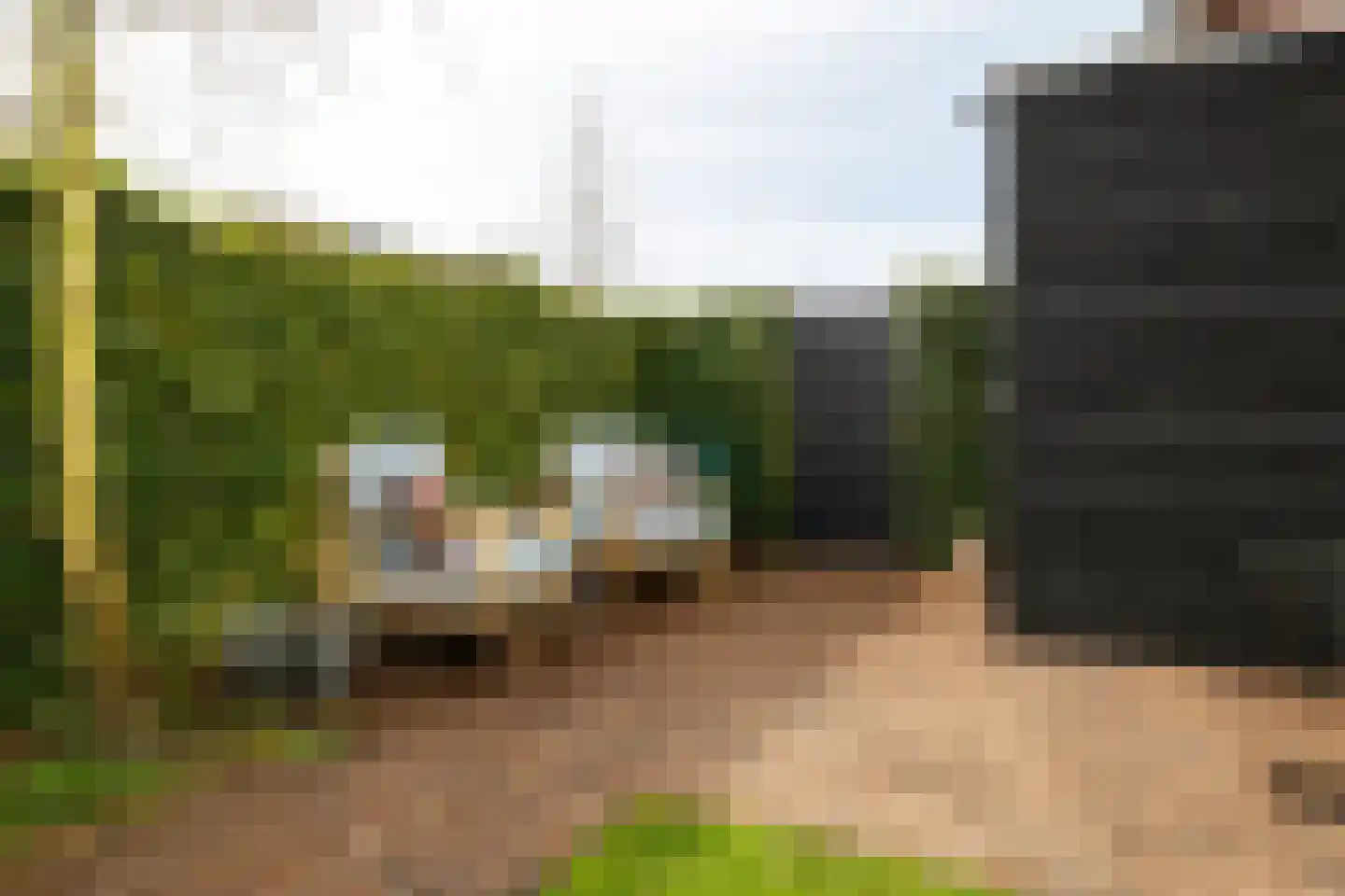 Koningsspil 29 Nunspeet thumbnail 11