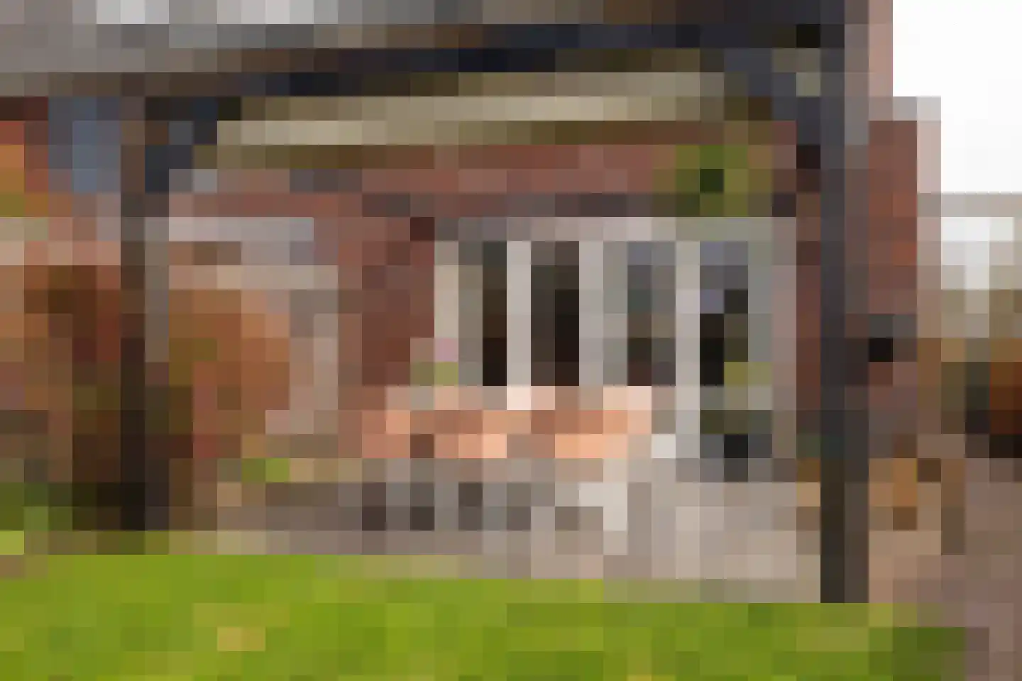 Koningsspil 29 Nunspeet thumbnail 12