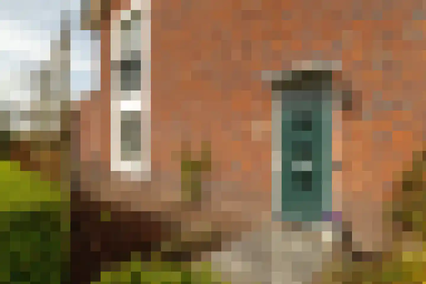Koningsspil 29 Nunspeet thumbnail 13