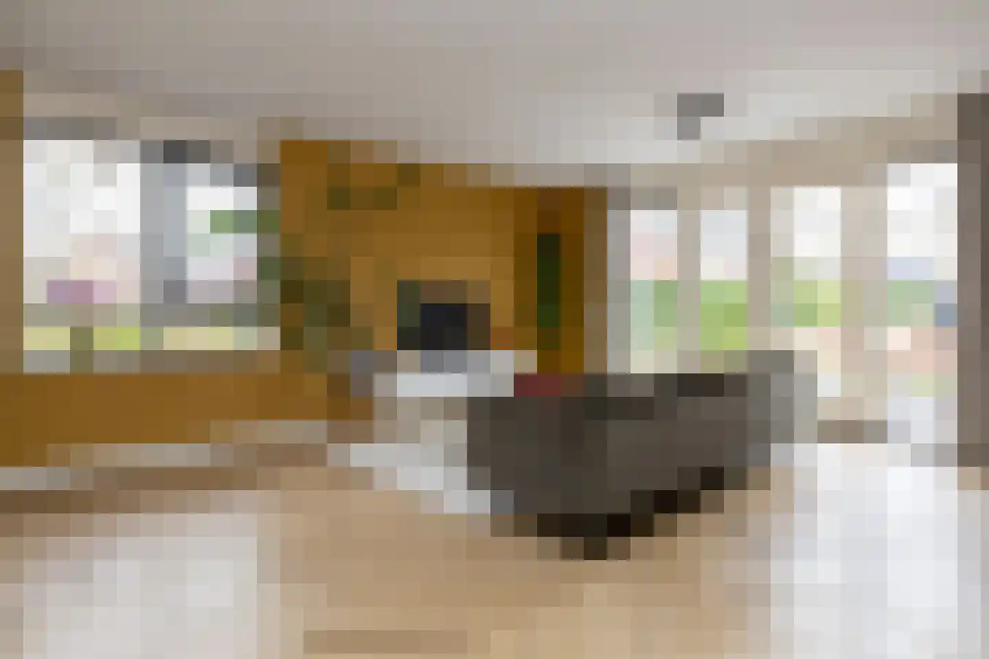 Koningsspil 29 Nunspeet thumbnail 17