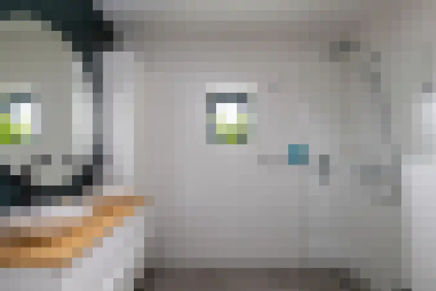 Koningsspil 29 Nunspeet thumbnail 32