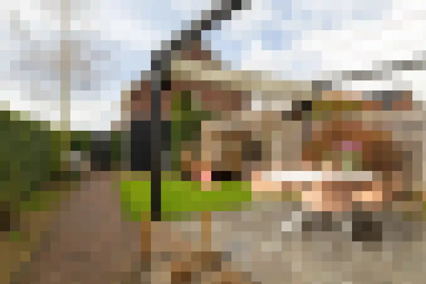 Koningsspil 29 Nunspeet thumbnail 7