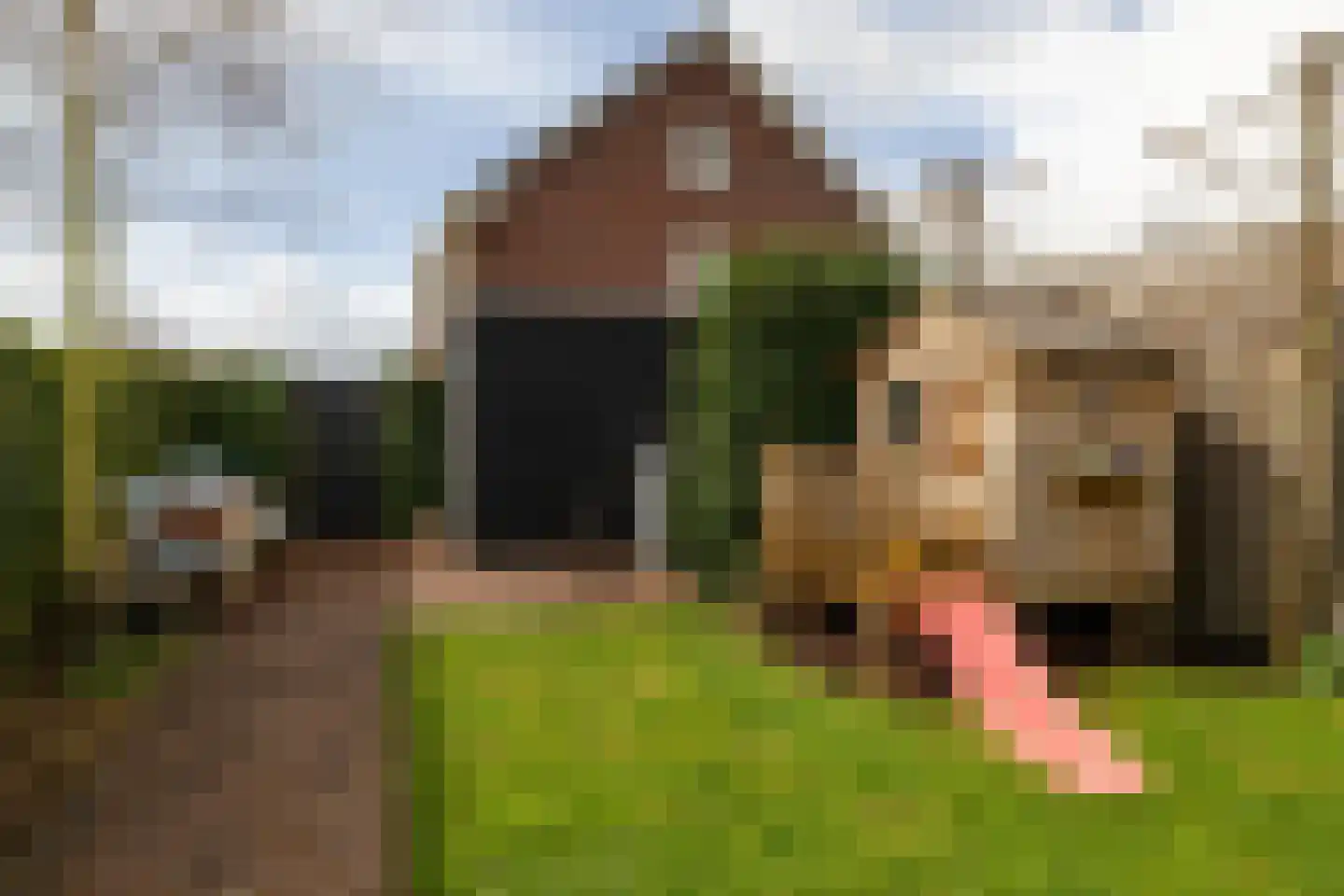 Koningsspil 29 Nunspeet thumbnail 9